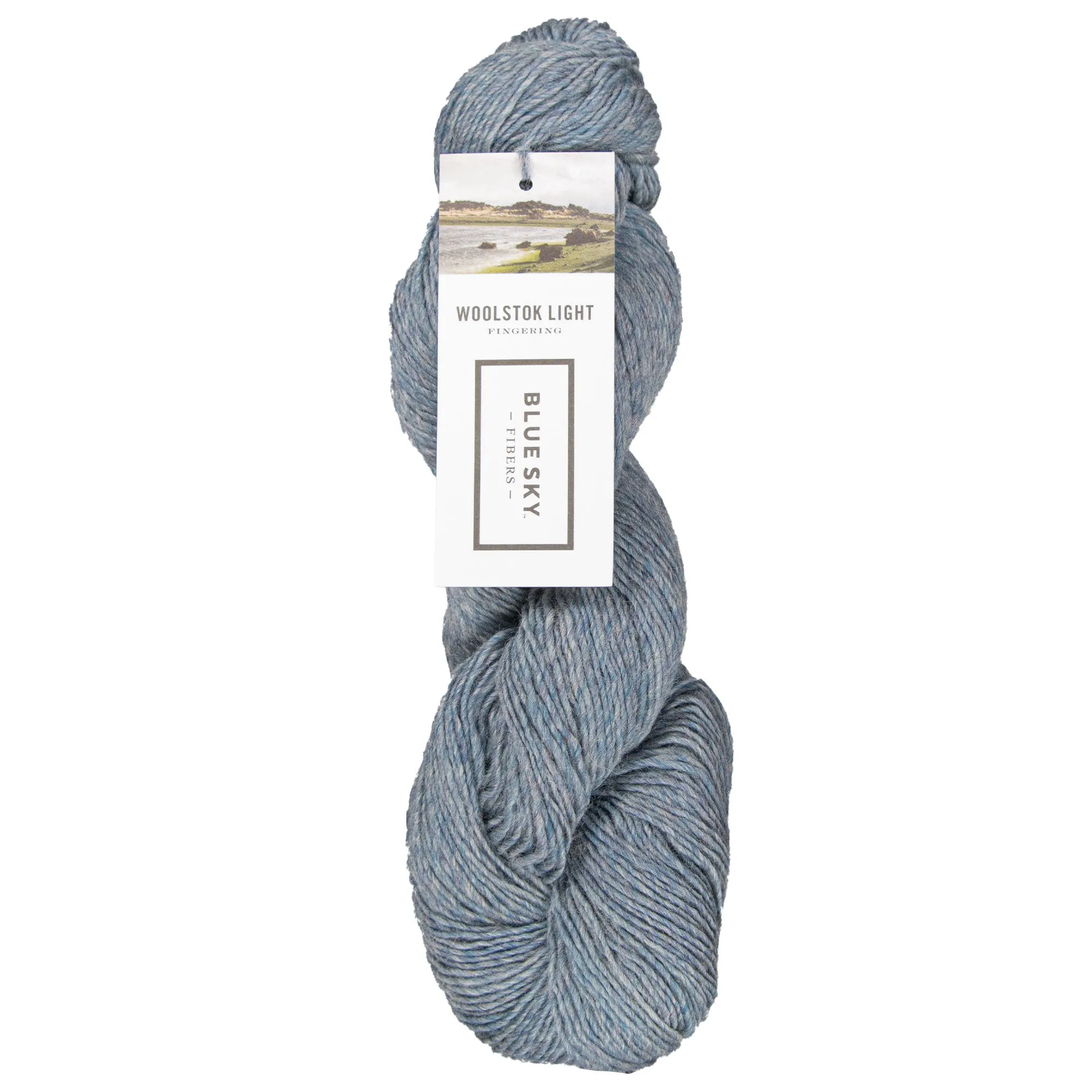 Blue Sky Fibers Woolstok Light Yarn - 2324 Morning Frost