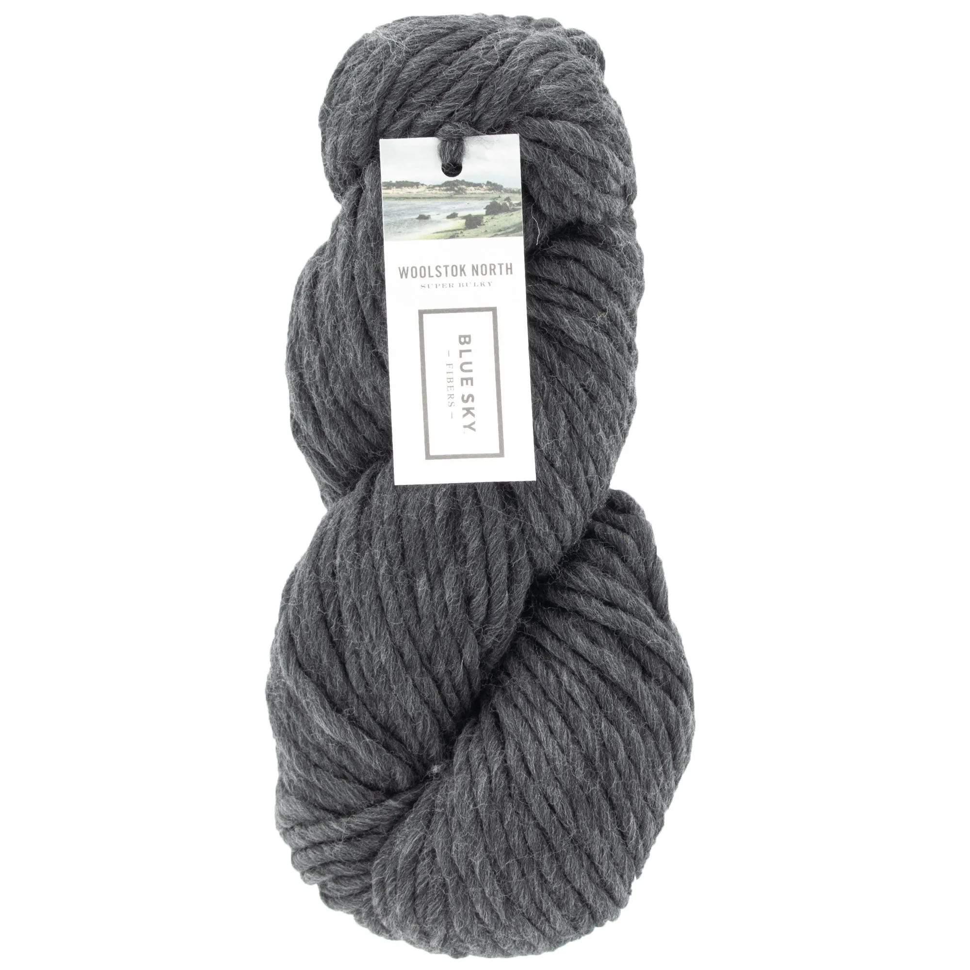 Blue Sky Fibers Woolstok North Yarn - 4300 Cast Iron