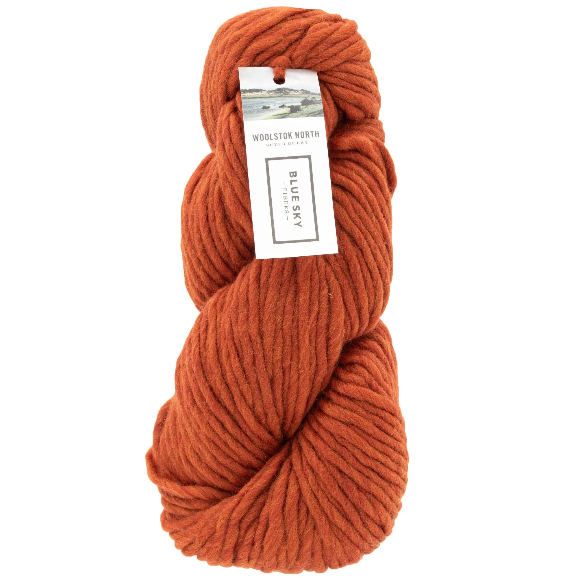 Blue Sky Fibers Woolstok North Yarn - 4311 Rusted Roof