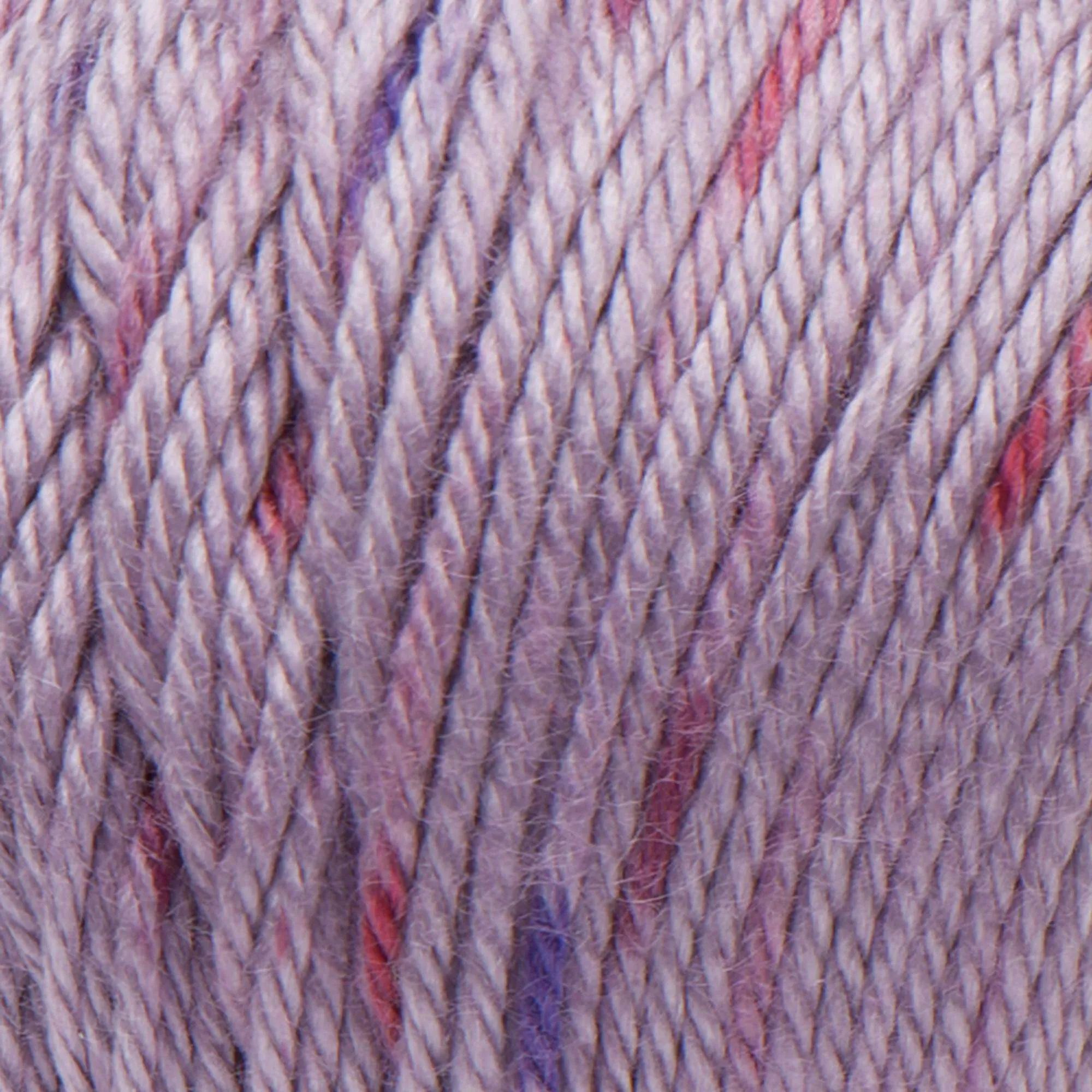 Caron Simply Soft Speckle Yarn