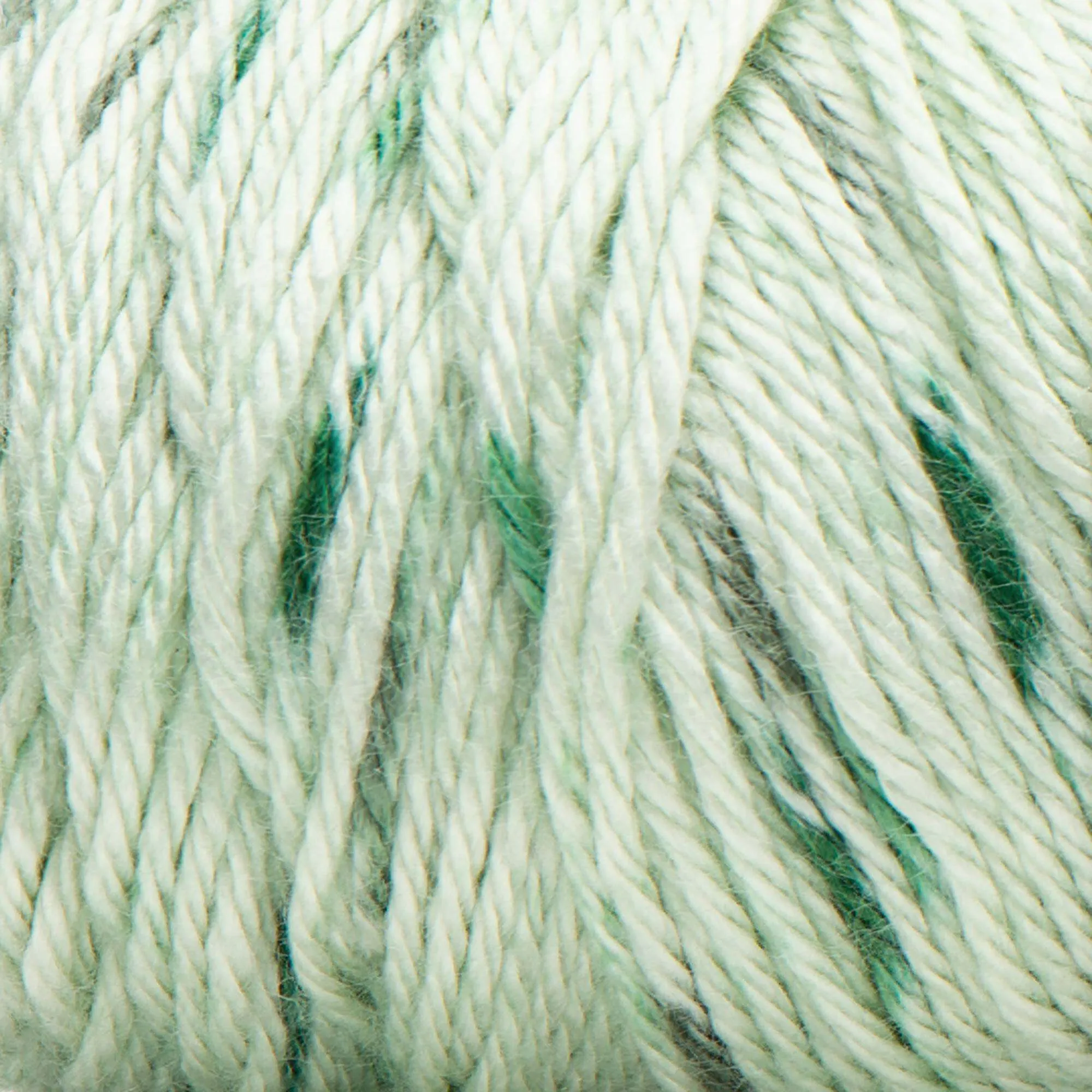 Caron Simply Soft Speckle Yarn