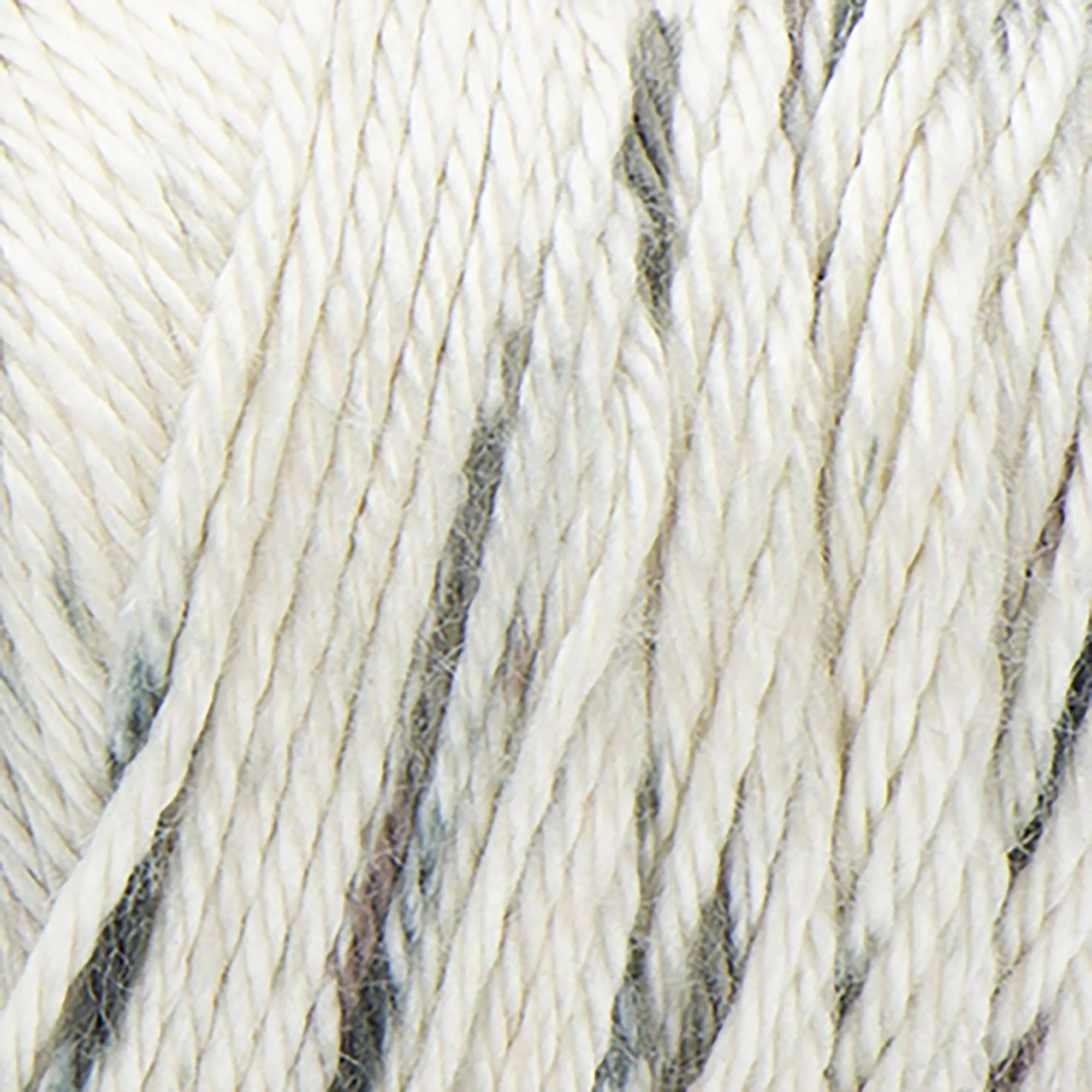 Caron Simply Soft Speckle Yarn