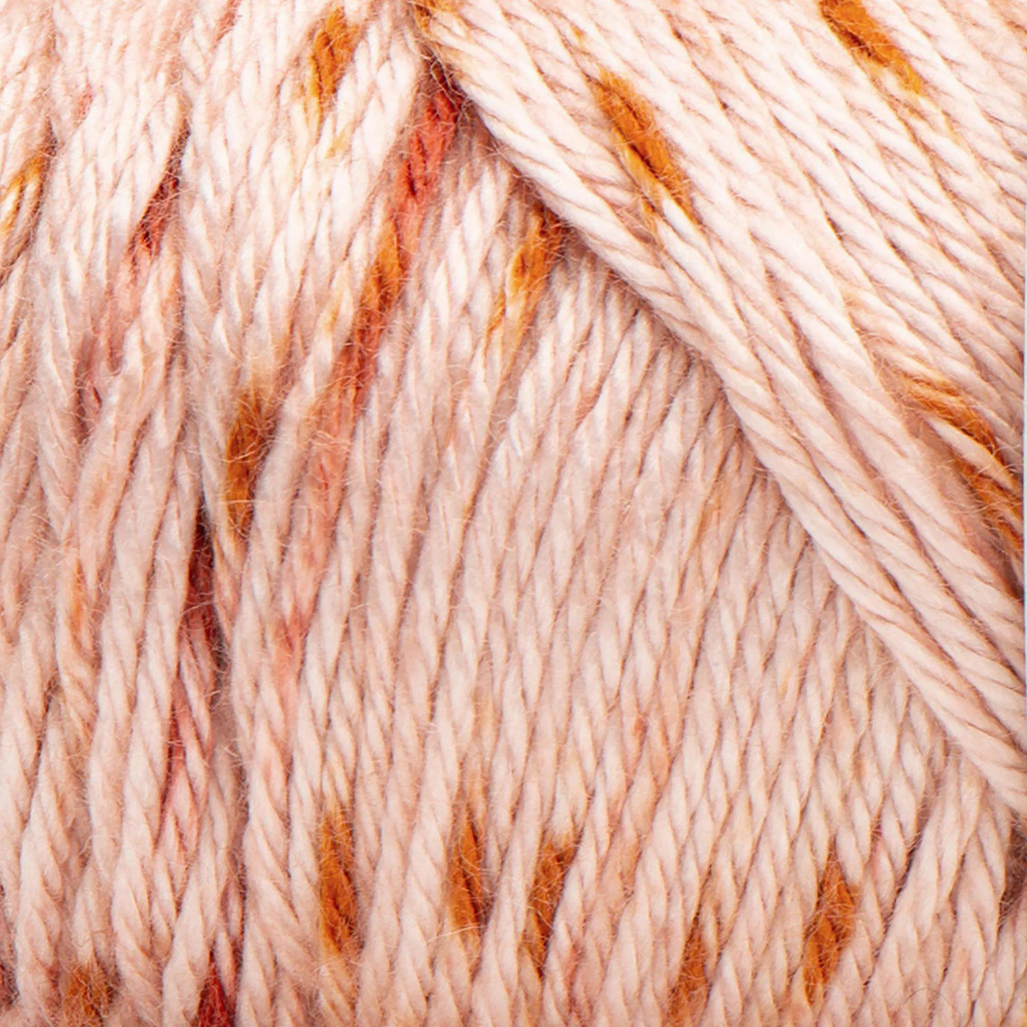 Caron Simply Soft Speckle Yarn